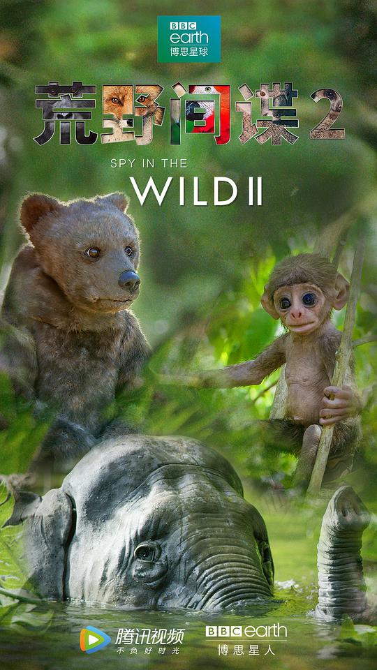 荒野间谍第二季(全集)
