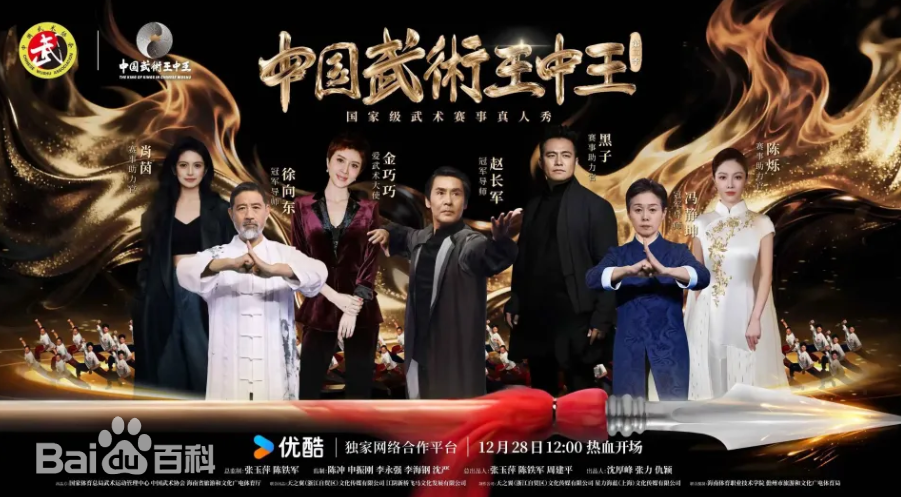 中国武术王中王第二季